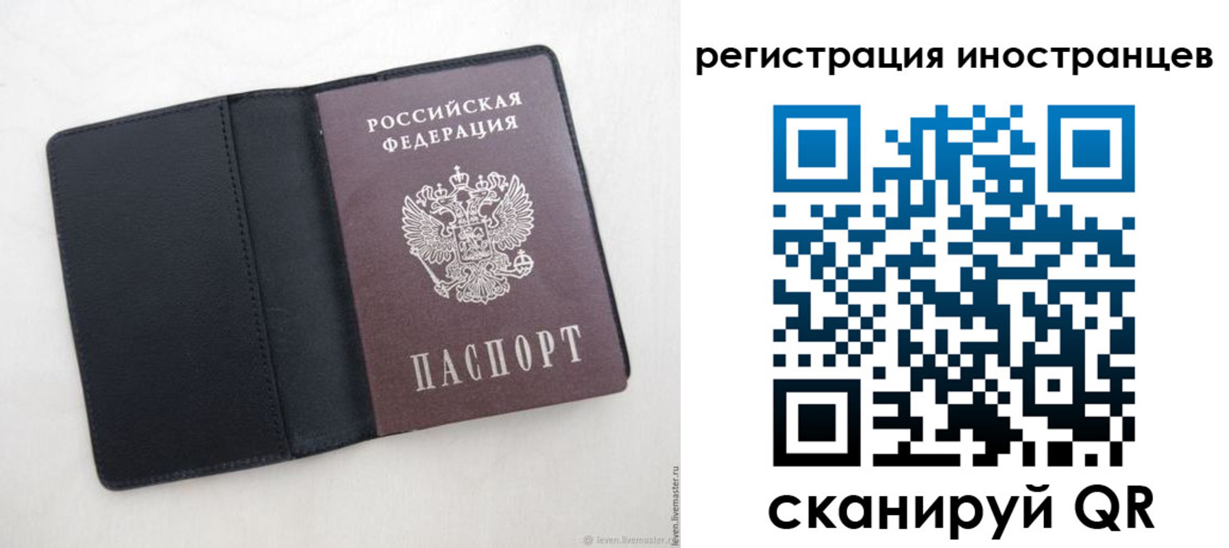 прописка ребенка в Холмске